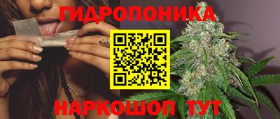 альфа пвп Славгород