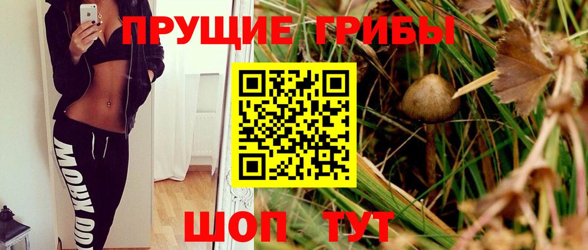 Псков  Псилоцибиновые грибы прущие грибы  Псилоцибиновые грибы ЛСД  закладка  Вход с VPN 
